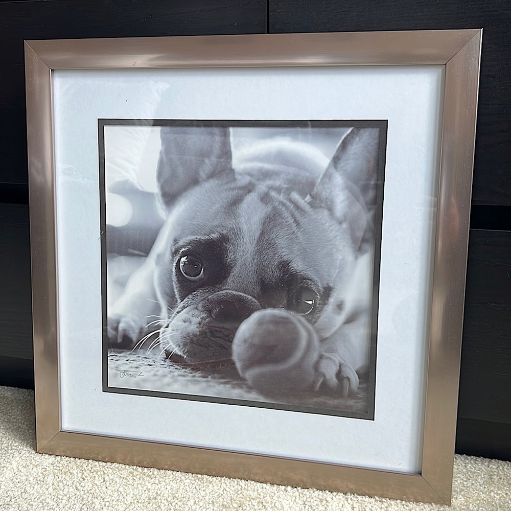 French Bulldog 18”x18” Framed Artwork